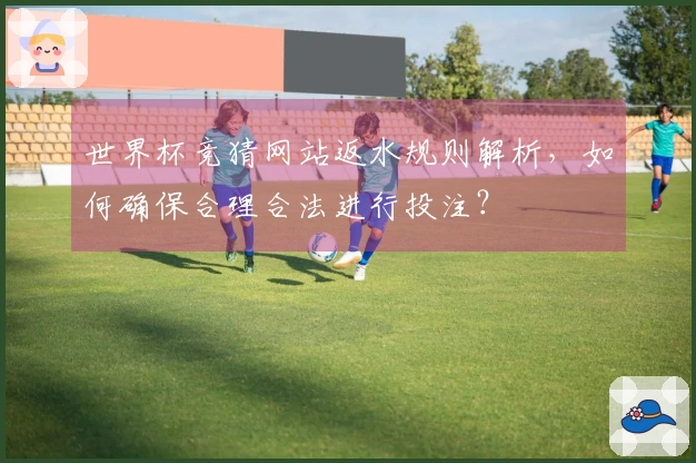 世界杯竞猜网站返水规则解析，如何确保合理合法进行投注？
