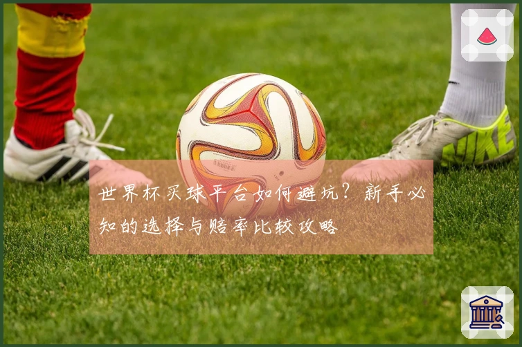 世界杯买球平台如何避坑？新手必知的选择与赔率比较攻略