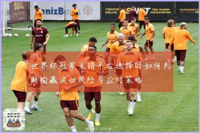 世界杯冠军竞猜平台选择时如何判断输赢波动风险与应对策略