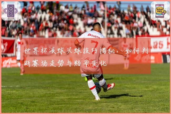 世界杯滚球买球技巧揭秘，如何判断赛场走势与赔率变化