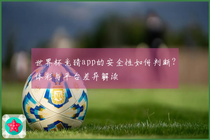 世界杯竞猜app的安全性如何判断？体彩与平台差异解读