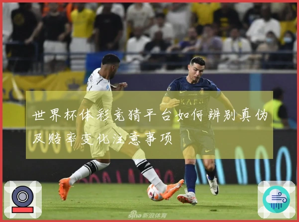 世界杯体彩竞猜平台如何辨别真伪及赔率变化注意事项