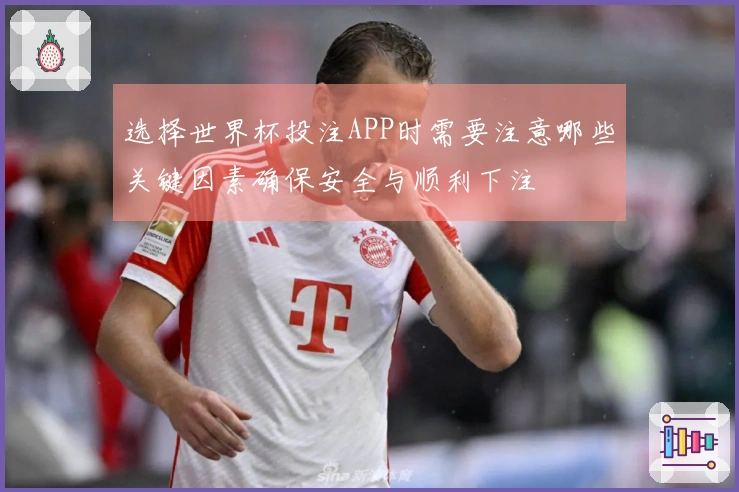 选择世界杯投注APP时需要注意哪些关键因素确保安全与顺利下注
