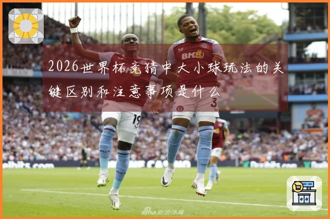 2026世界杯竞猜中大小球玩法的关键区别和注意事项是什么