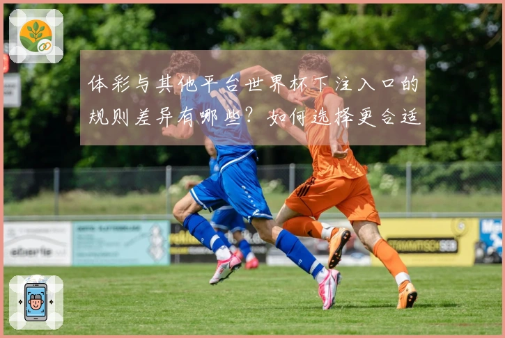 体彩与其他平台世界杯下注入口的规则差异有哪些？如何选择更合适的下注方式？