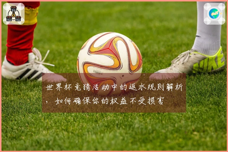 世界杯竞猜活动中的返水规则解析，如何确保你的权益不受损害
