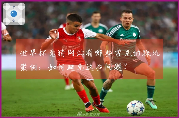 世界杯竞猜网站有哪些常见的踩坑案例，如何避免这些问题？