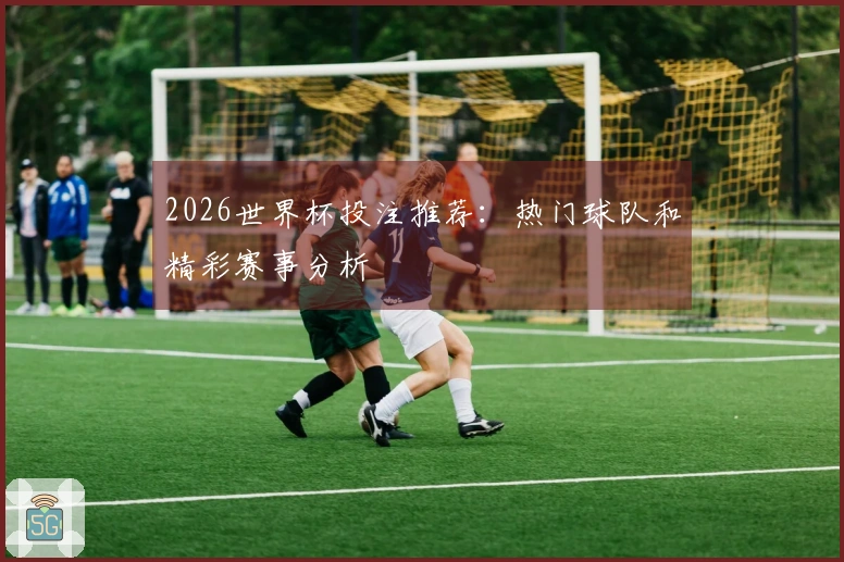 2026世界杯投注推荐：热门球队和精彩赛事分析