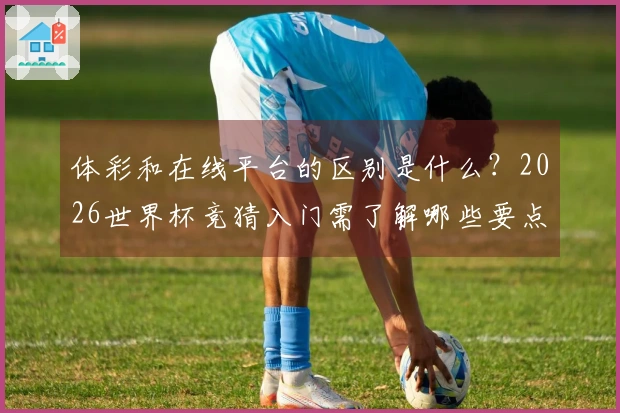 体彩和在线平台的区别是什么？2026世界杯竞猜入门需了解哪些要点？