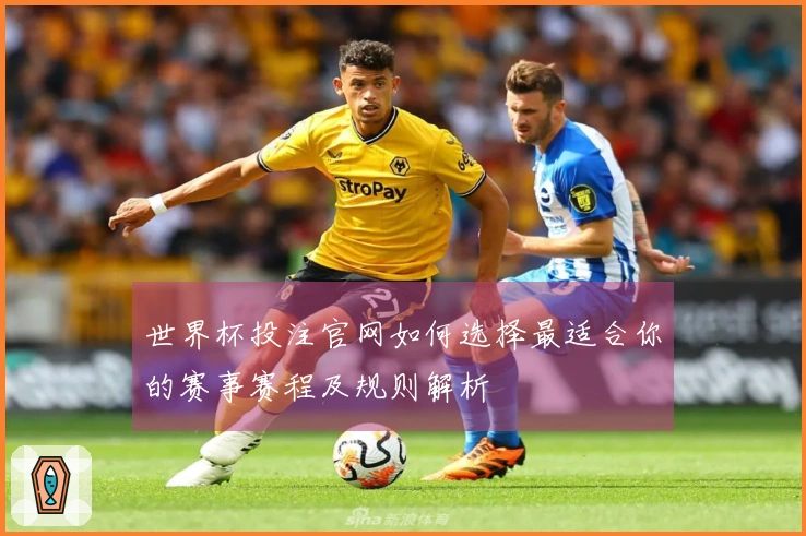 世界杯投注官网如何选择最适合你的赛事赛程及规则解析