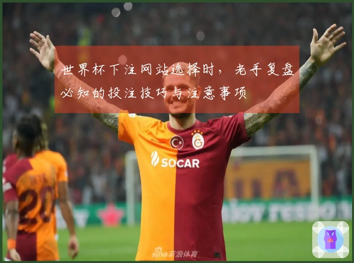 世界杯下注网站选择时，老手复盘必知的投注技巧与注意事项