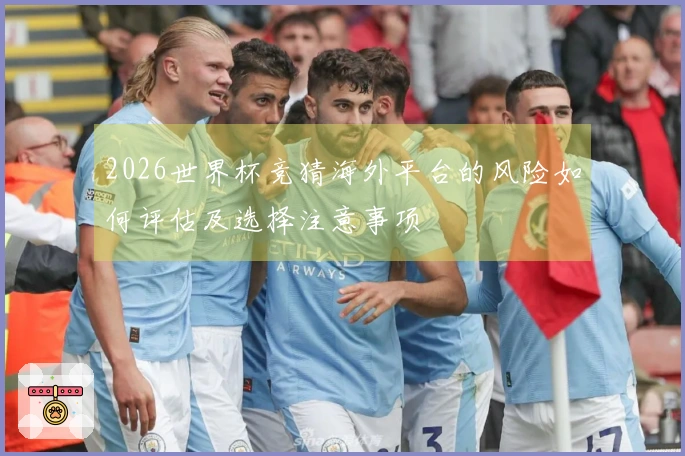 2026世界杯竞猜海外平台的风险如何评估及选择注意事项