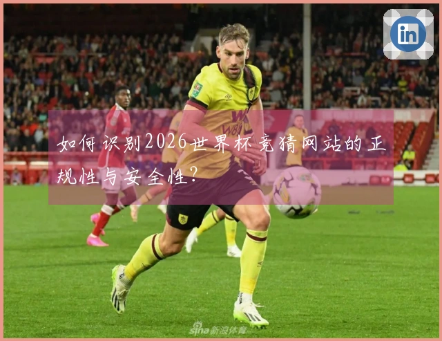 如何识别2026世界杯竞猜网站的正规性与安全性？