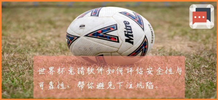 世界杯竞猜软件如何评估安全性与可靠性，帮你避免下注坑陷。