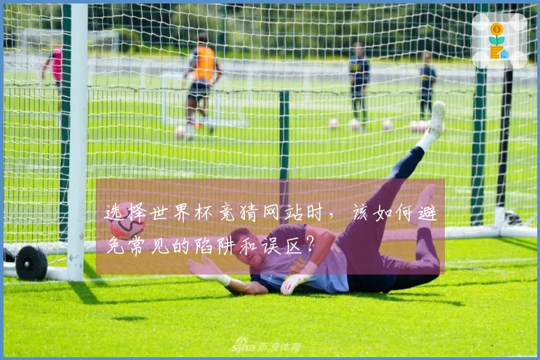 选择世界杯竞猜网站时，该如何避免常见的陷阱和误区？