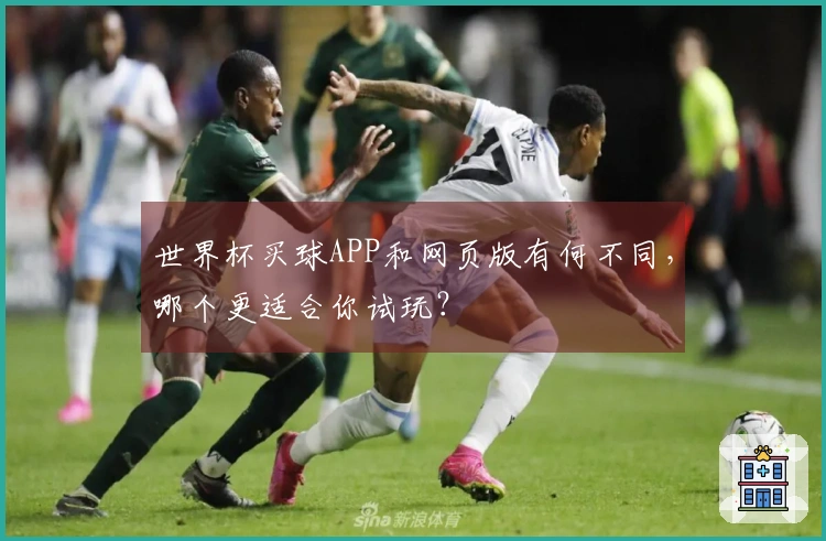 世界杯买球APP和网页版有何不同，哪个更适合你试玩？