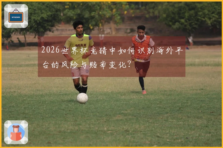 2026世界杯竞猜中如何识别海外平台的风险与赔率变化？