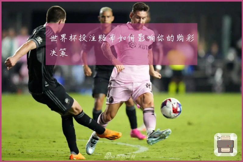 世界杯投注赔率如何影响你的购彩决策