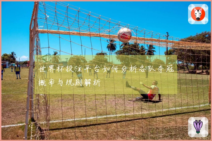 世界杯投注平台如何分析各队夺冠概率与规则解析