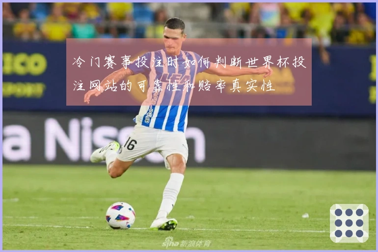 冷门赛事投注时如何判断世界杯投注网站的可靠性和赔率真实性
