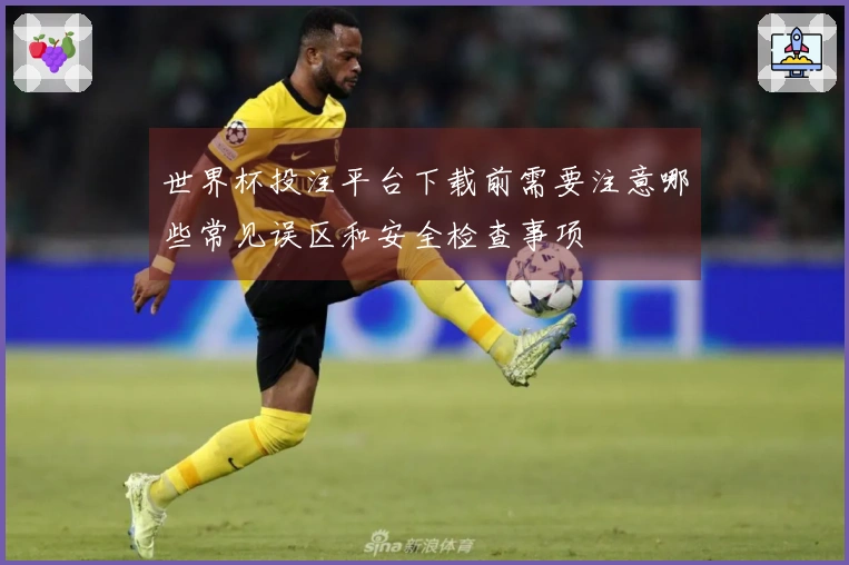 世界杯投注平台下载前需要注意哪些常见误区和安全检查事项